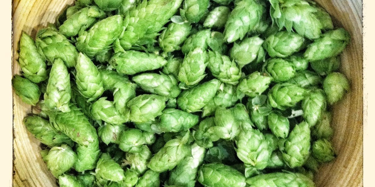 RSchmidtBrewing's profile banner image