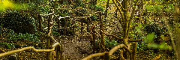 PuzzlewoodFOD Profile Banner