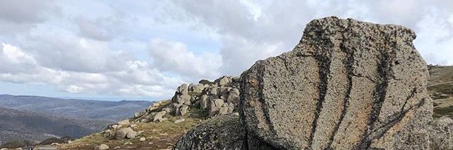 Veronica Le Nevez banner