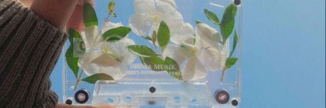 ImASugarCube's profile banner image
