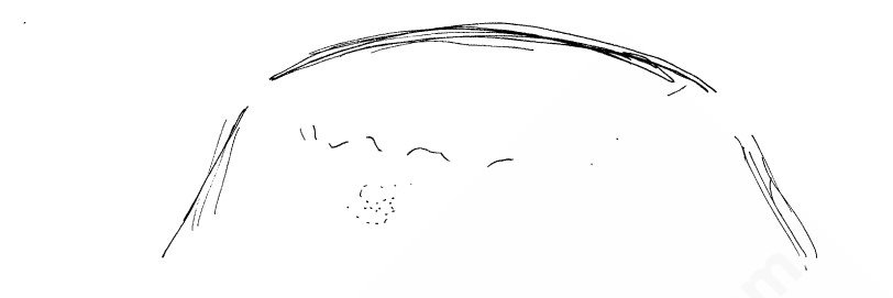 susancandless's profile banner image