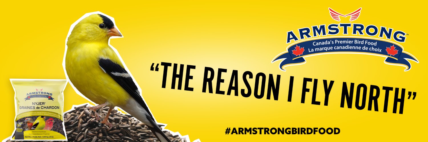 armstrong_bird's profile banner image