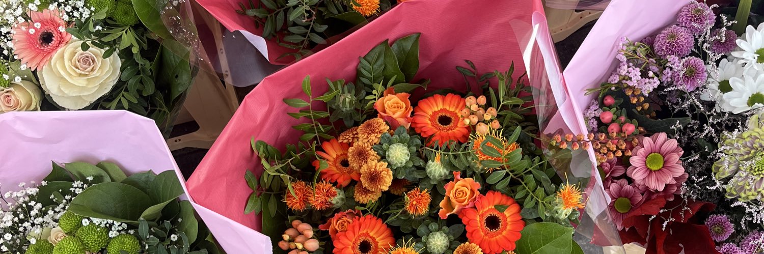 HelenaIbarr's profile banner image