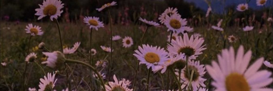 cema97_'s profile banner image