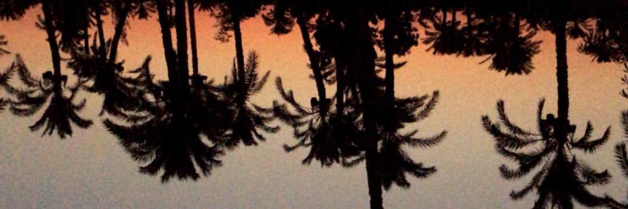 pacmoneyman's profile banner image