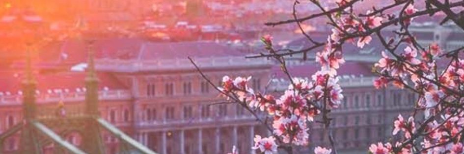 NightChanges_69's profile banner image