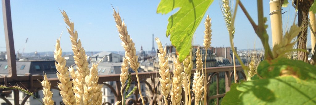 Arnaud Daguin 🐞 banner