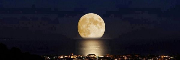 MarkPellingra Profile Banner