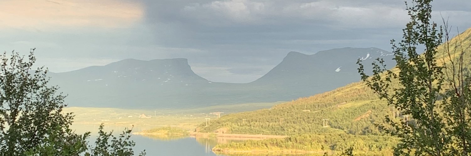 AdamNilssson's profile banner image