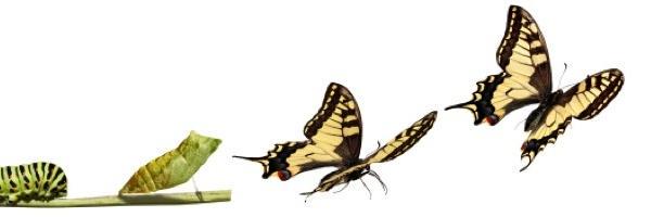 VickyWaldukat's profile banner image
