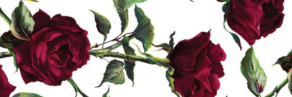 MelissaAnybell's profile banner image
