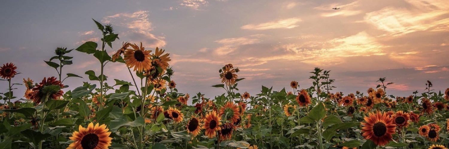 silver banner