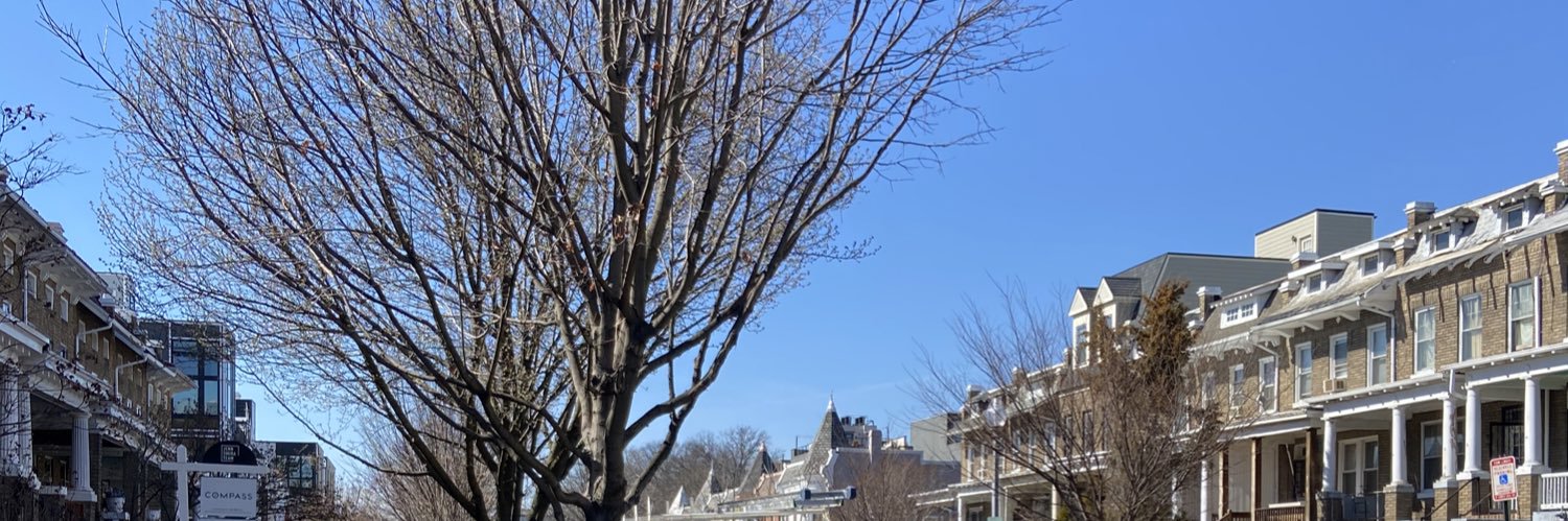 DC Bollard Dad banner