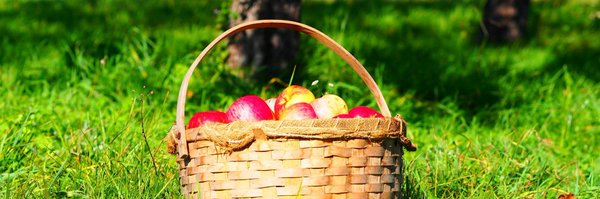 SandowFarm Profile Banner