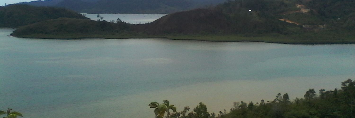 elfani_dwi's profile banner image