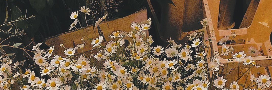 fettercondoblet's profile banner image