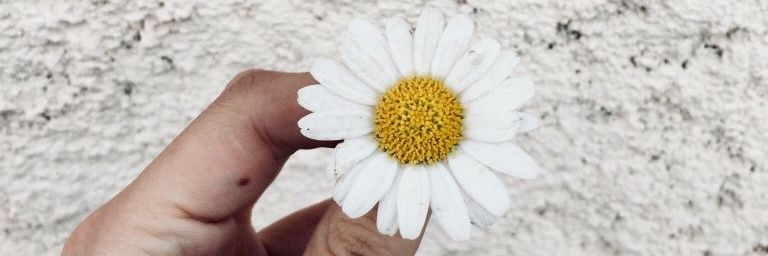 itssval_'s profile banner image