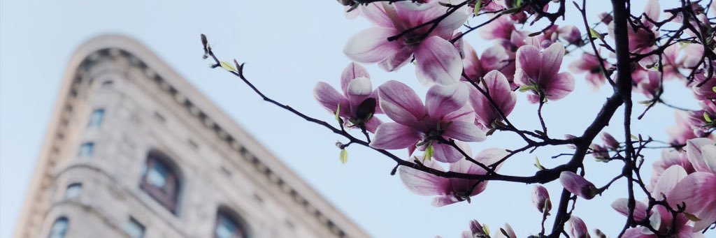 KimberWetherill's profile banner image