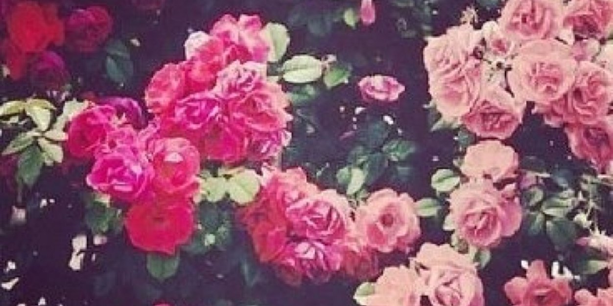 Carly_MacKinnon's profile banner image