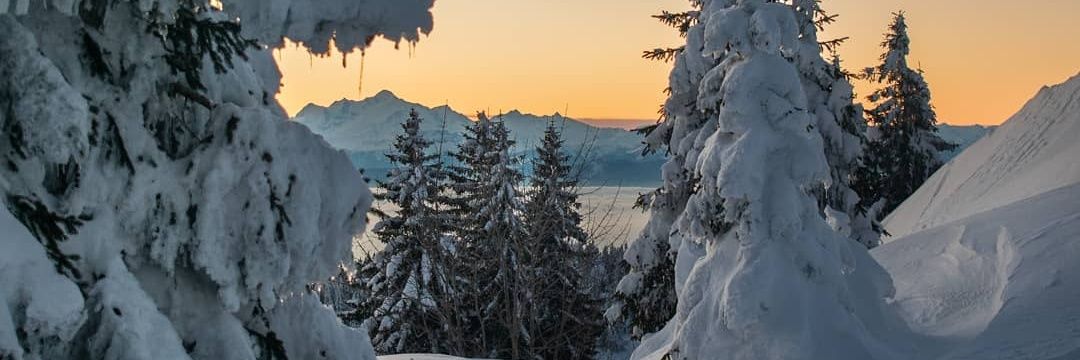 pvauchez's profile banner image