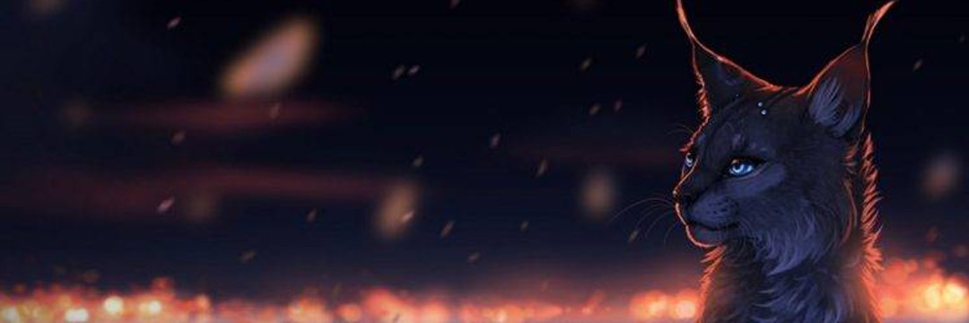 NeuroKittenZ's profile banner image