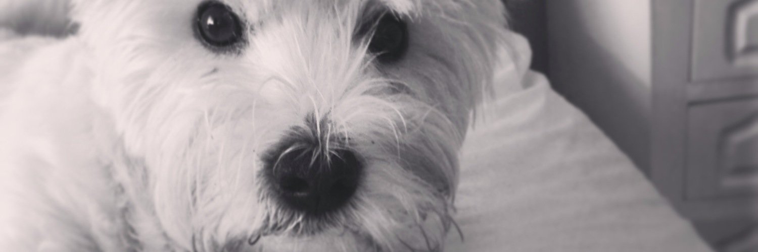 Loubee_84's profile banner image