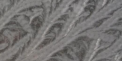 SeedsowerFarm's profile banner image