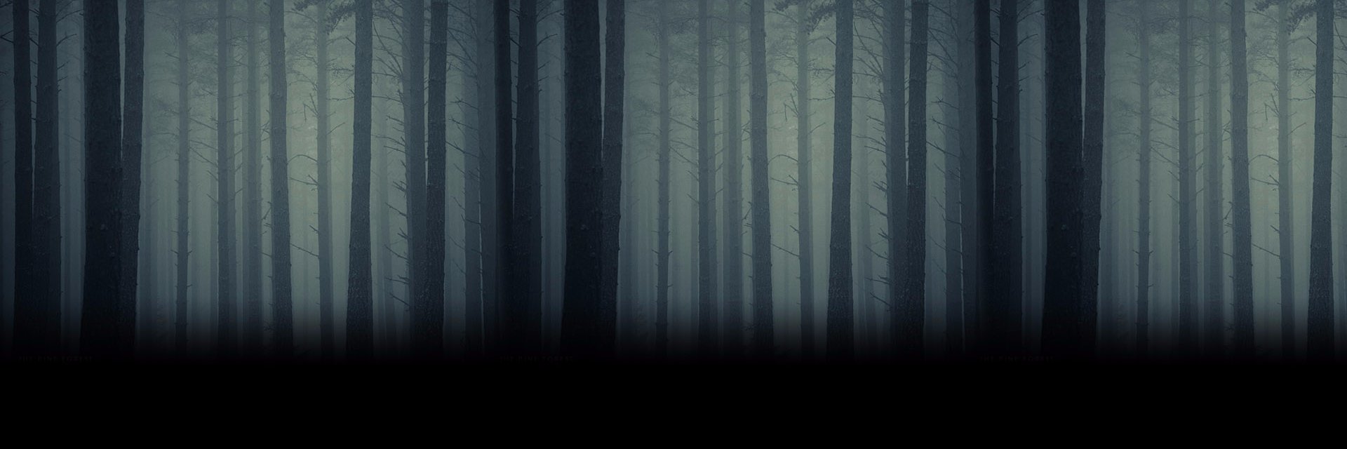 _Dr_Weber_'s profile banner image