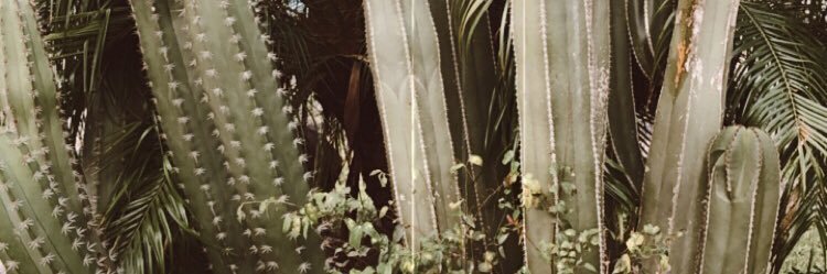 Vale_Cisneros's profile banner image