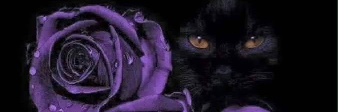 RhondaKrumm's profile banner image