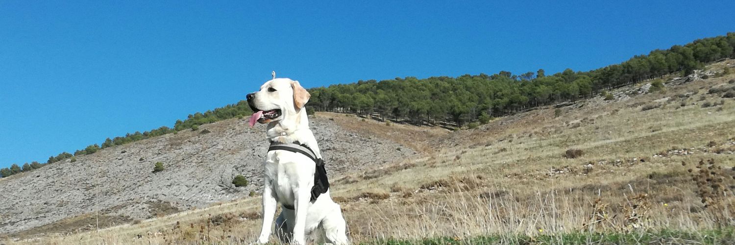 AndreOM94's profile banner image