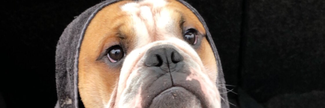 jimbocooper15's profile banner image