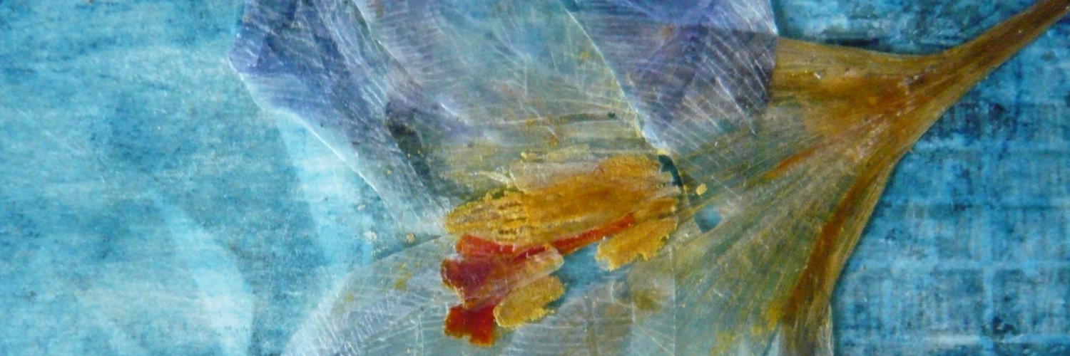 Marion McCready banner