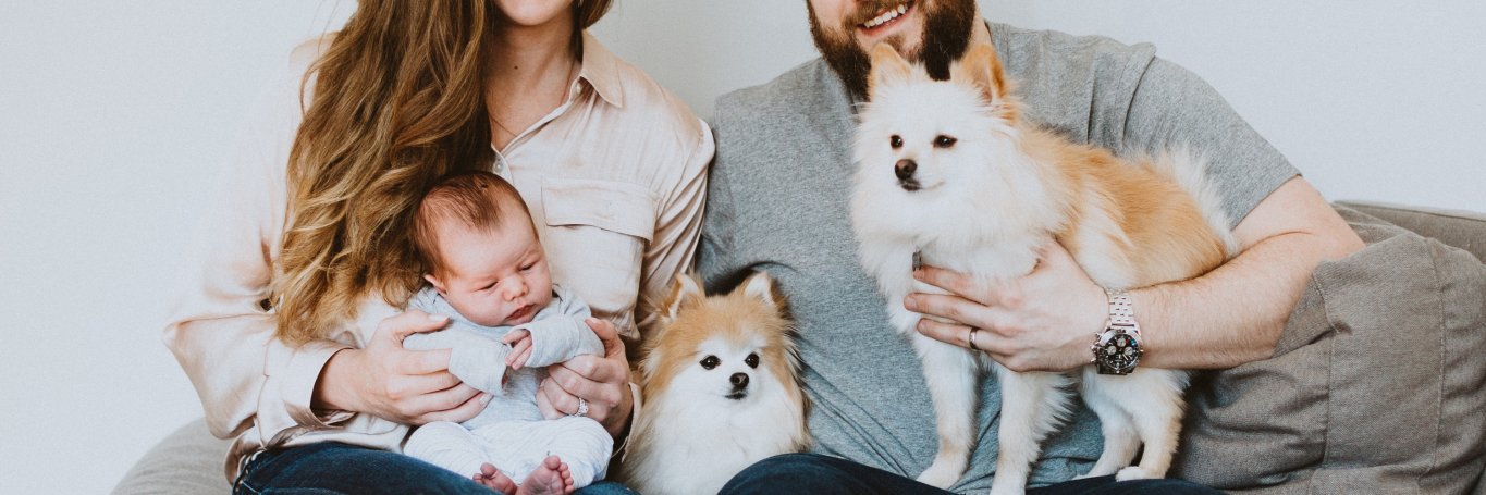 MikeySmitty's profile banner image