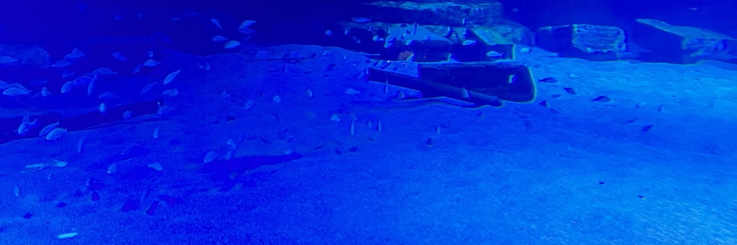 cndnvrs's profile banner image