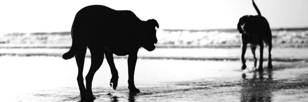 djwake07 Profile Banner