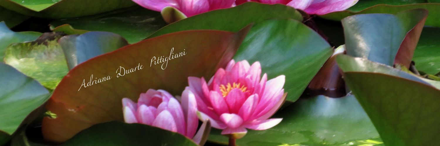 drika_gar's profile banner image