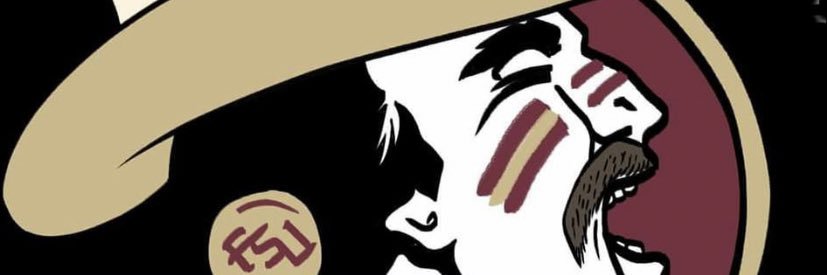 SeminoleIndy's profile banner image