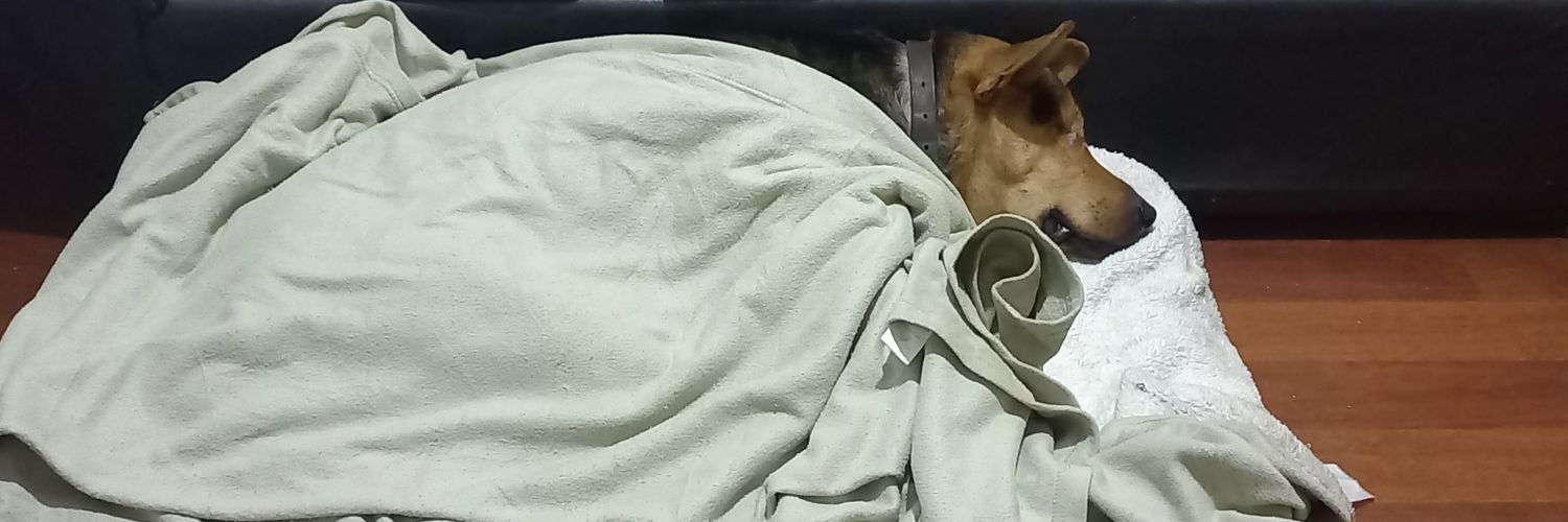 Ernesto Cleido Mastoideo banner