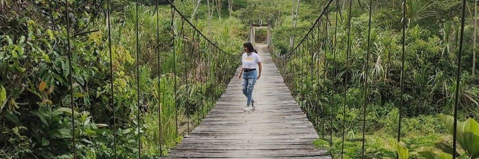 d20anie's profile banner image