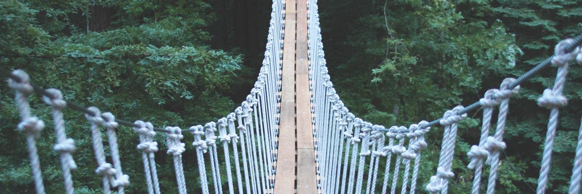 bonsaidesign's profile banner image