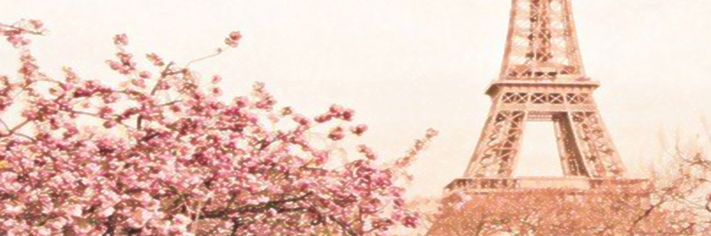 Monikbs's profile banner image