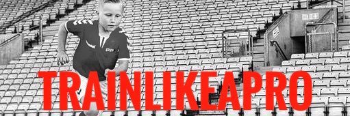 PREMIER PLAYER PPFA banner