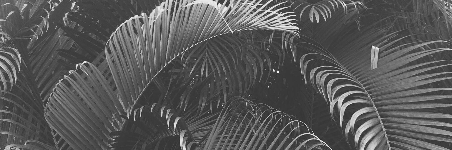 ATHartwell's profile banner image