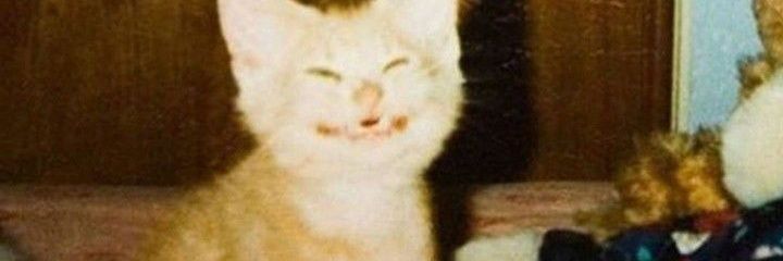0ddysseuss's profile banner image