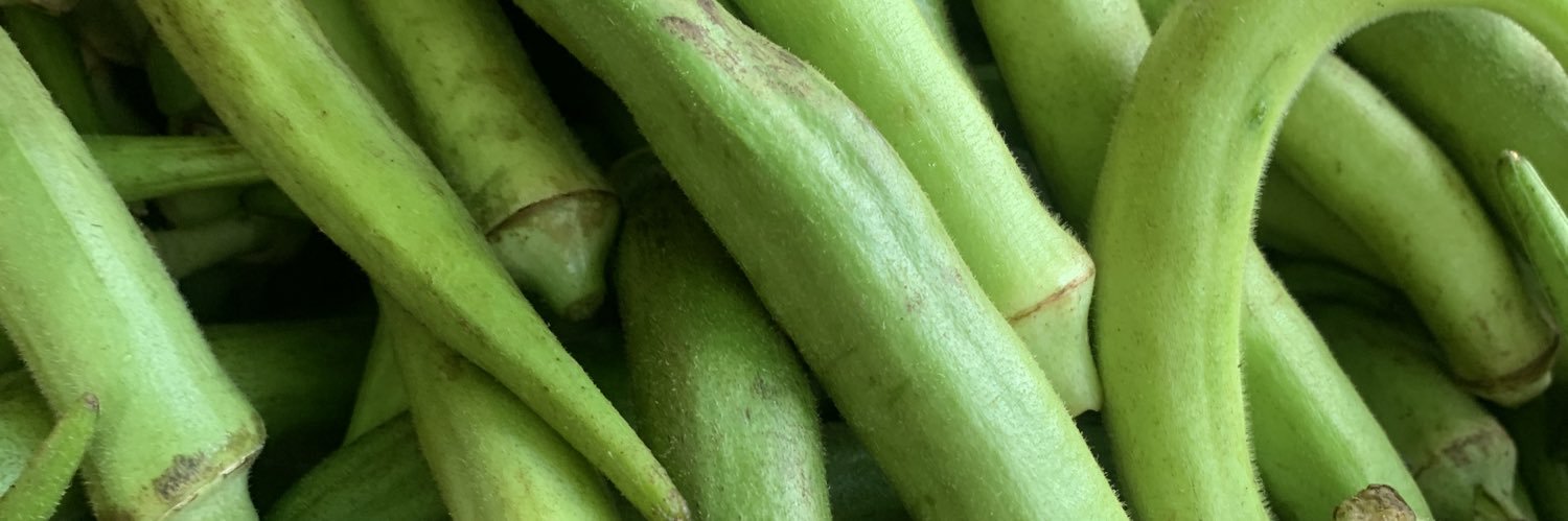 divagreen07's profile banner image