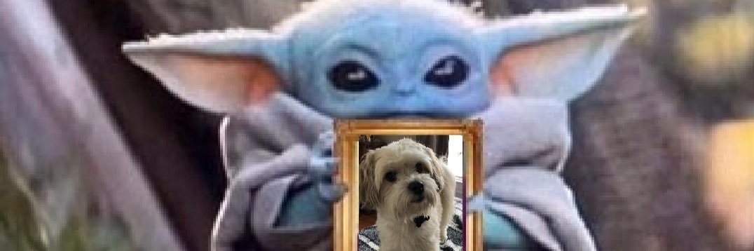 jacquexiii's profile banner image