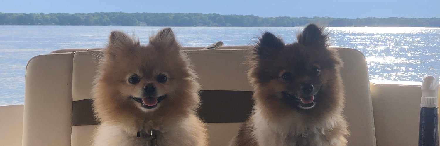 Rich Rodriguez banner