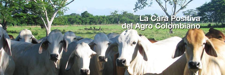 repordelcampo's profile banner image