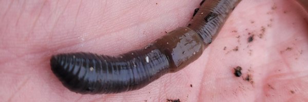 soilandstuff Profile Banner